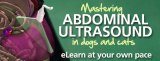 Mastering Abdominal Ultrasound in Dogs and Cats
